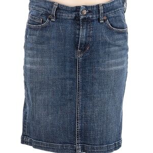 Citizens Of Humanity Blue Gold Pencil Skirt Casual Knee-Length - 29